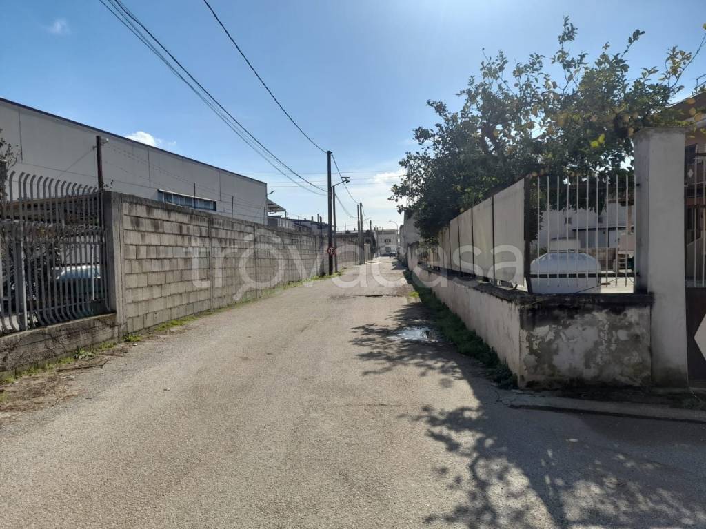 immagine annuncio 8 di 14