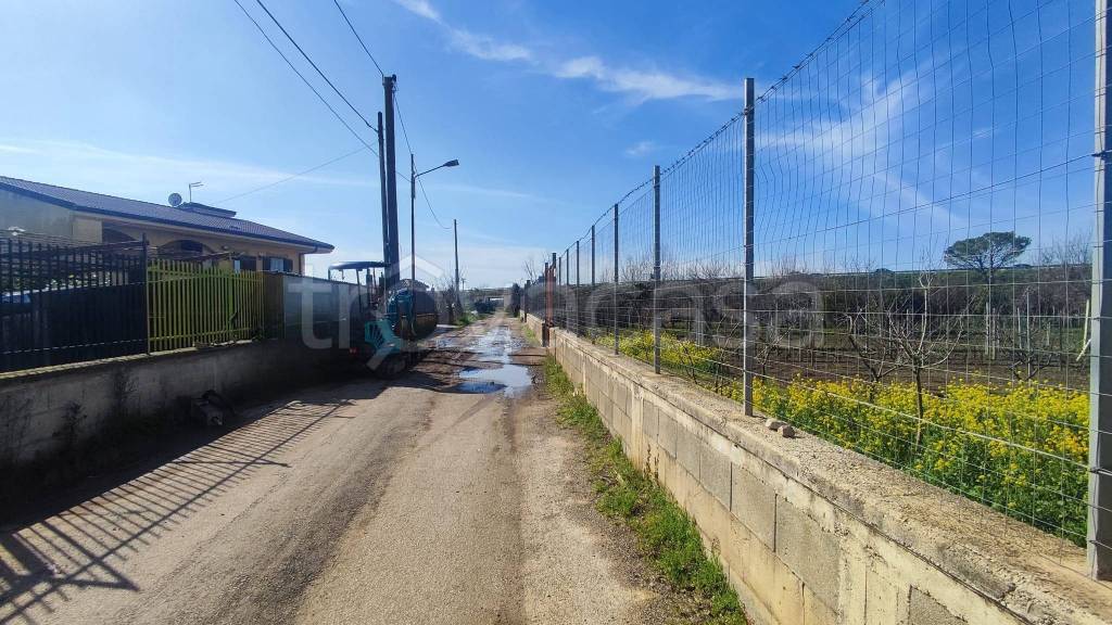 immagine annuncio 9 di 14