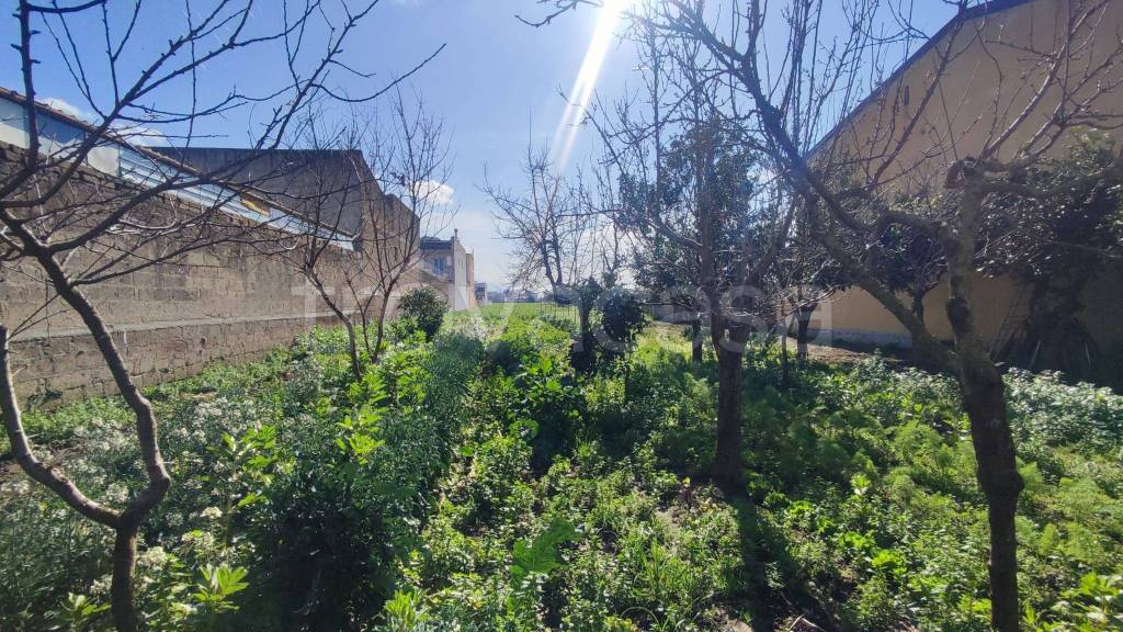 immagine annuncio 10 di 14