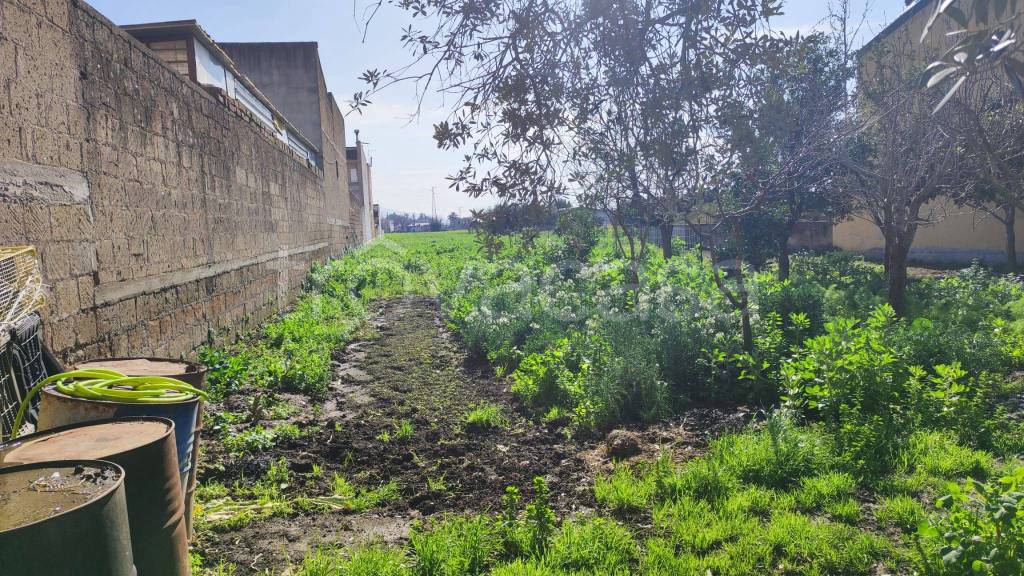 immagine annuncio 12 di 14