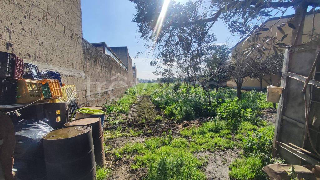 immagine annuncio 13 di 14