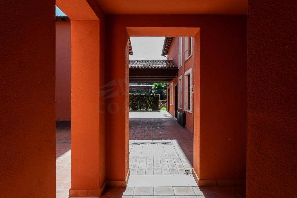 immagine annuncio 6 di 14