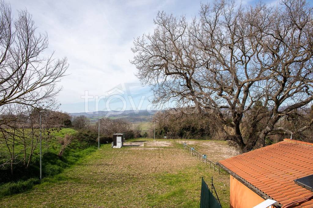 immagine annuncio 11 di 14