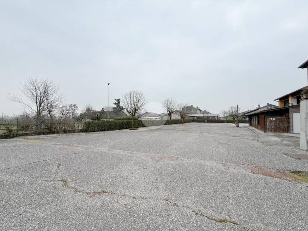 immagine annuncio 7 di 14