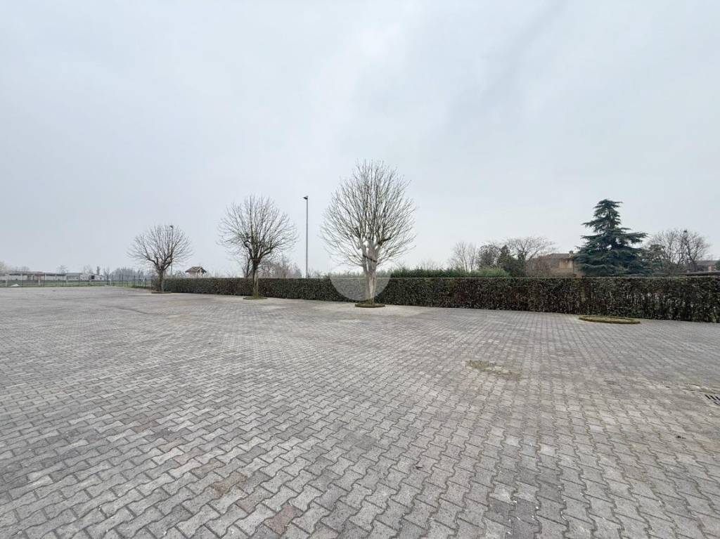 immagine annuncio 13 di 14