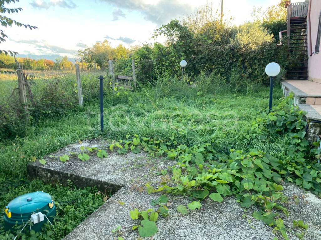 immagine annuncio 5 di 6