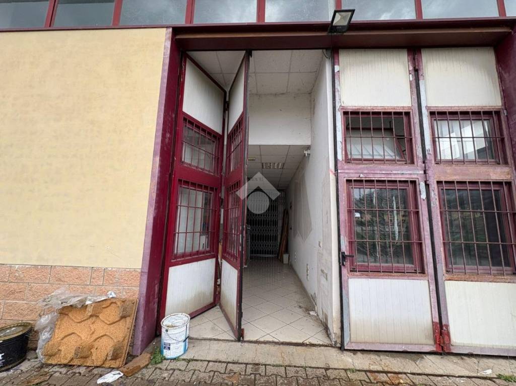 immagine annuncio 1 di 14