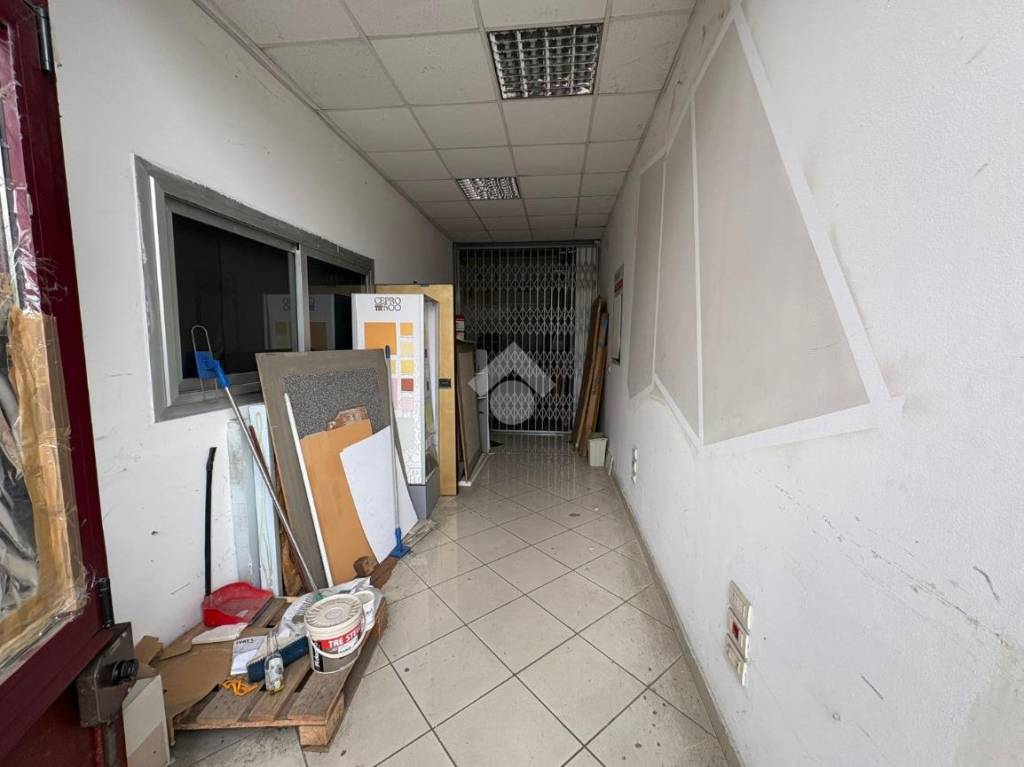 immagine annuncio 3 di 14