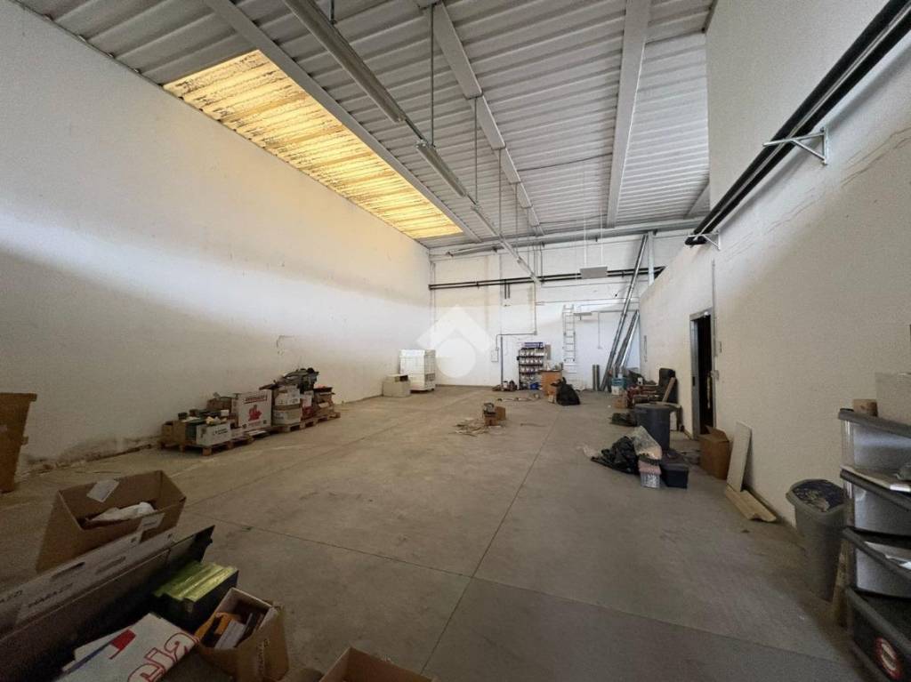 immagine annuncio 4 di 14