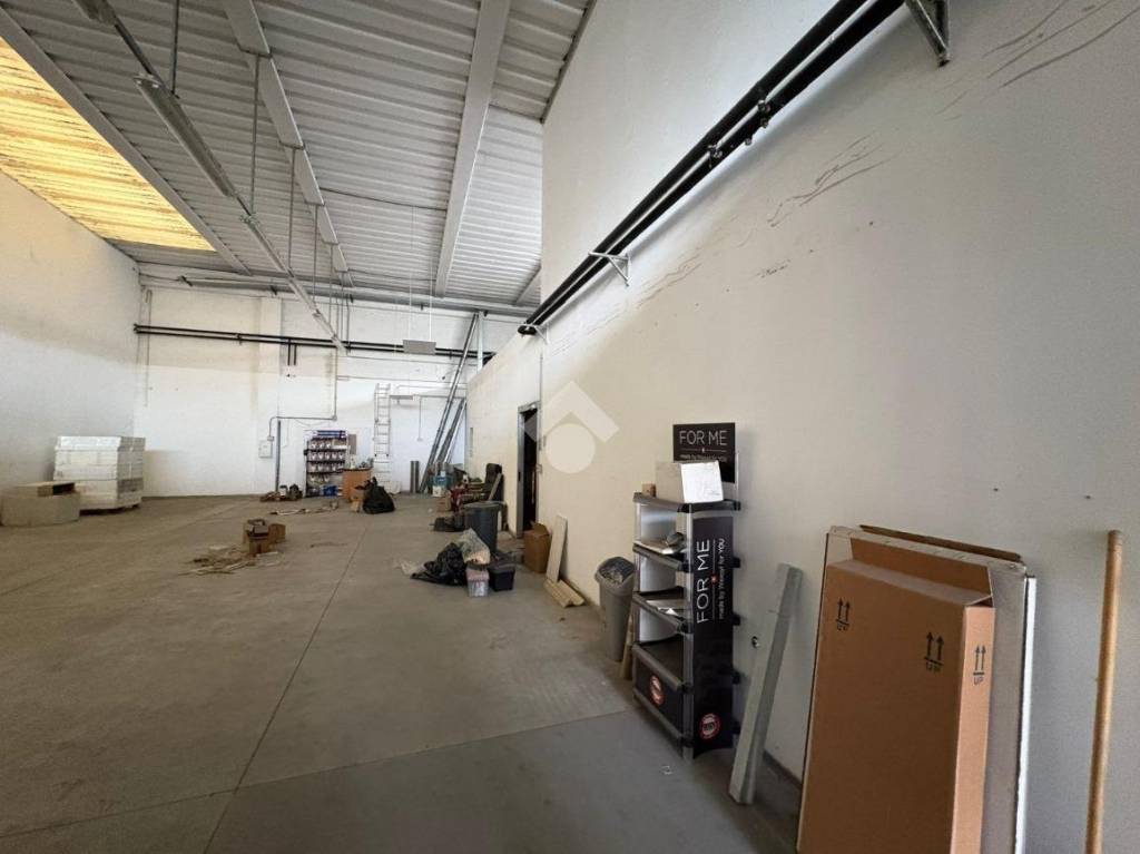 immagine annuncio 5 di 14