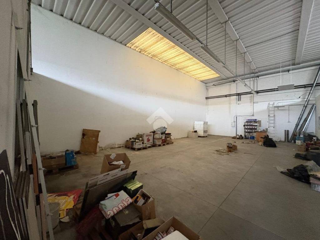 immagine annuncio 6 di 14