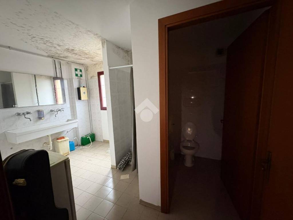 immagine annuncio 10 di 14