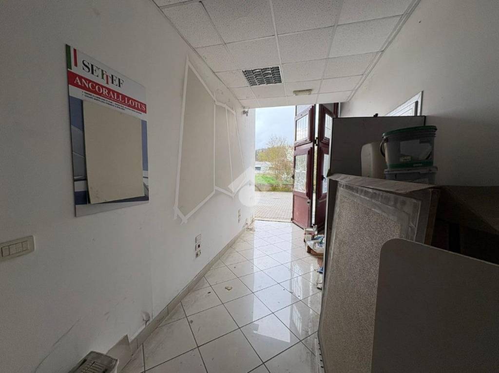 immagine annuncio 13 di 14