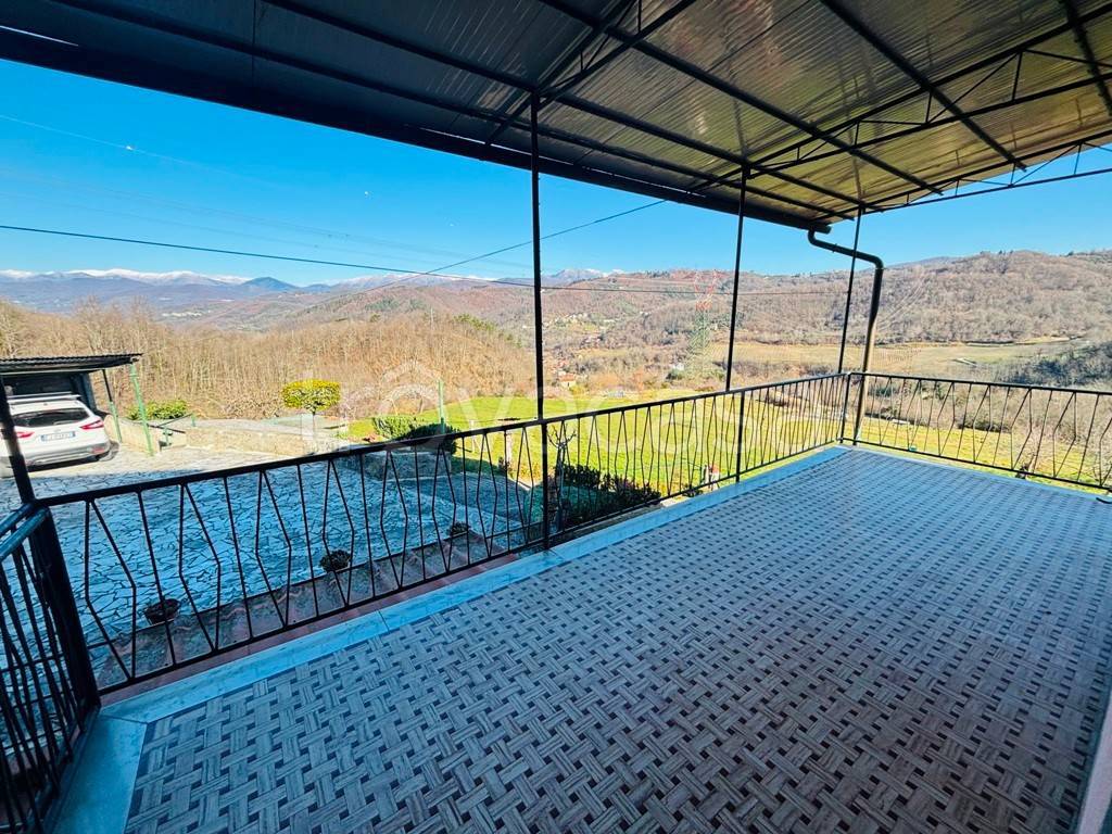 immagine annuncio 9 di 12