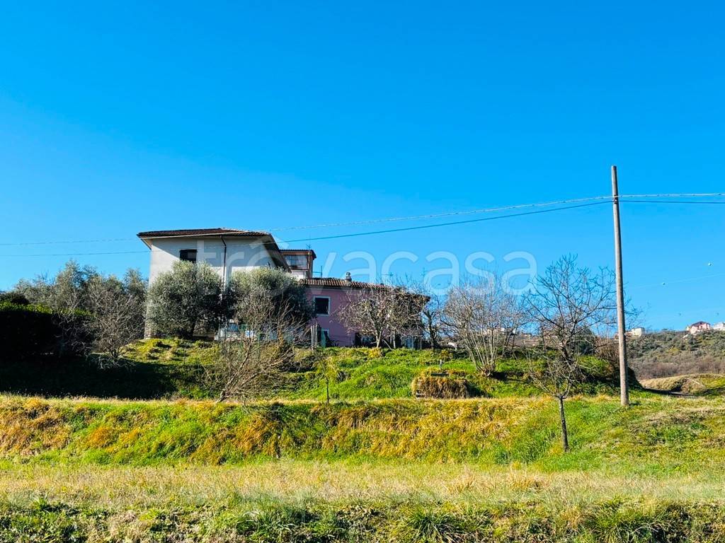 immagine annuncio 11 di 12