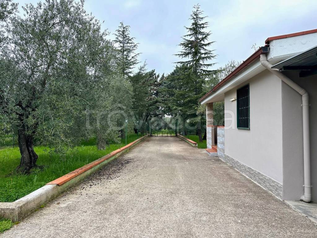 immagine annuncio 12 di 13