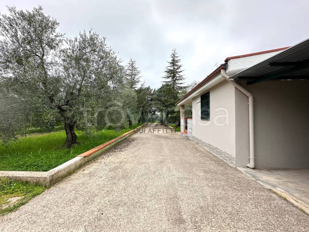 immagine annuncio 2 di 13