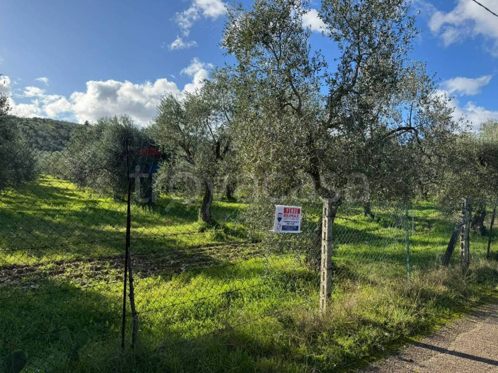 immagine annuncio 8 di 12