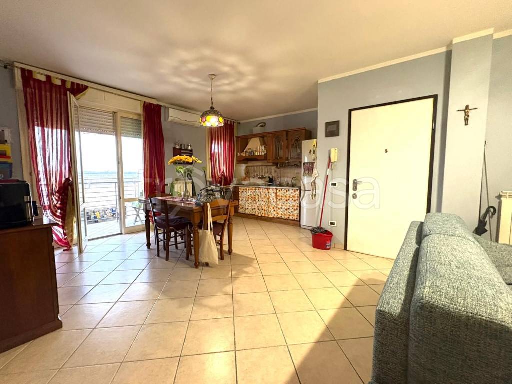 immagine annuncio 4 di 13