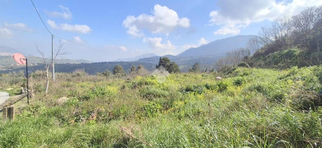 immagine annuncio 7 di 14