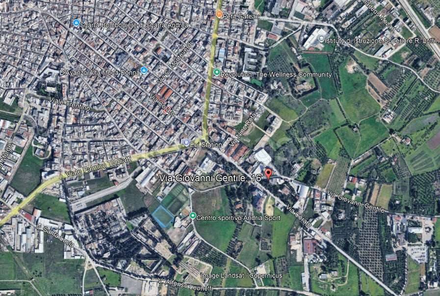 immagine annuncio 12 di 15