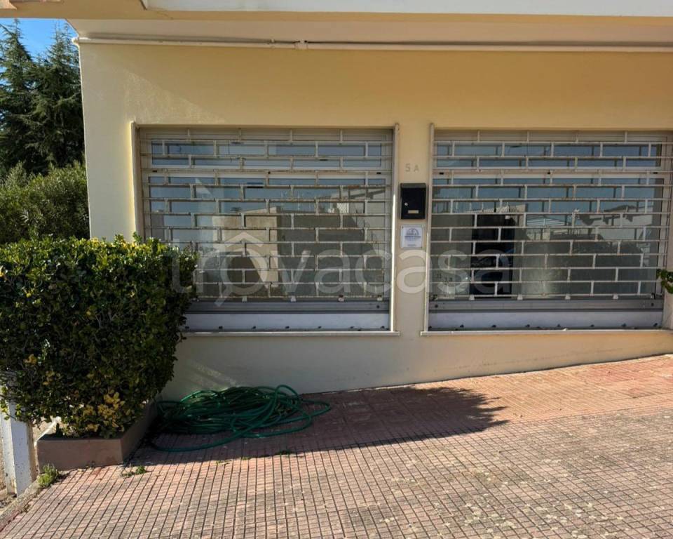 immagine annuncio 4 di 7