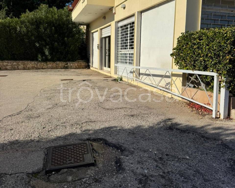 immagine annuncio 5 di 7