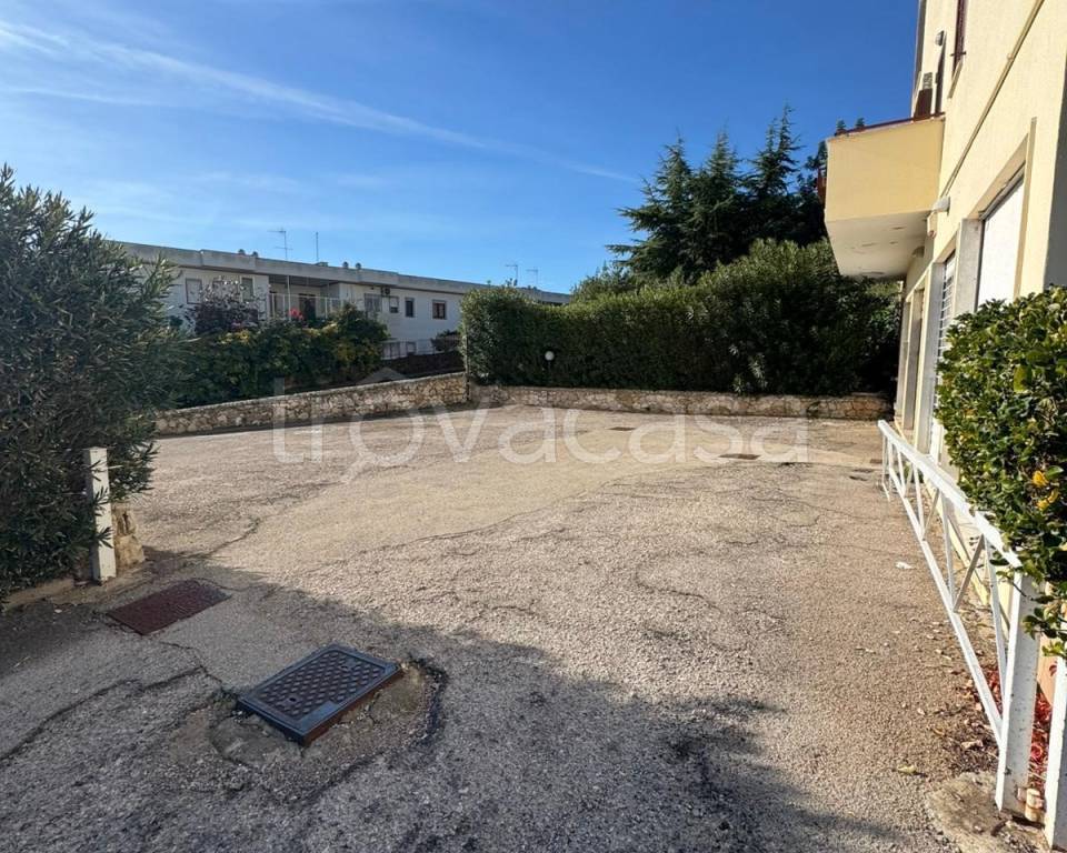 immagine annuncio 6 di 7