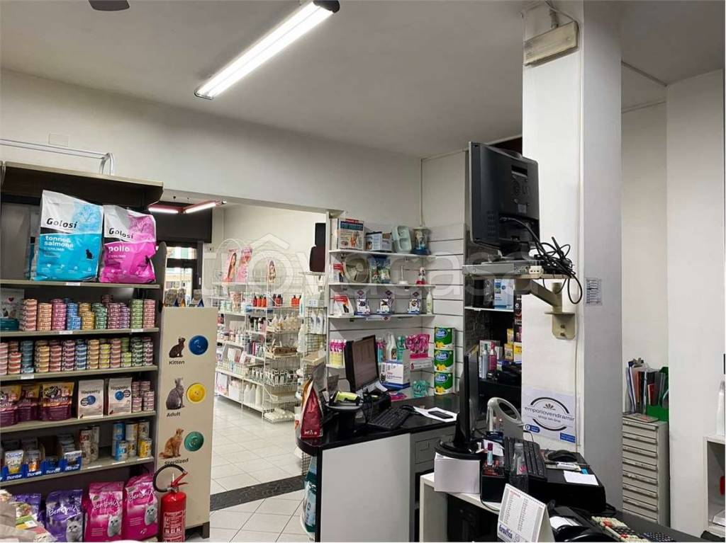 immagine annuncio 3 di 12