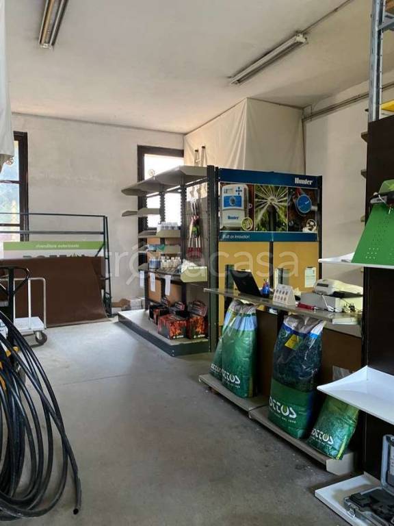 immagine annuncio 4 di 12