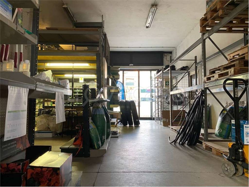 immagine annuncio 5 di 12