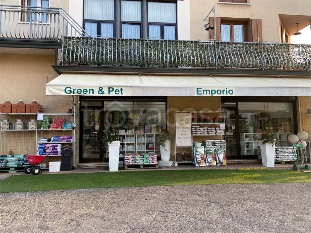 immagine annuncio 7 di 12