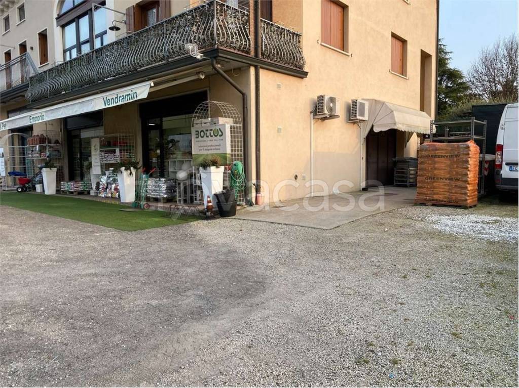 immagine annuncio 8 di 12