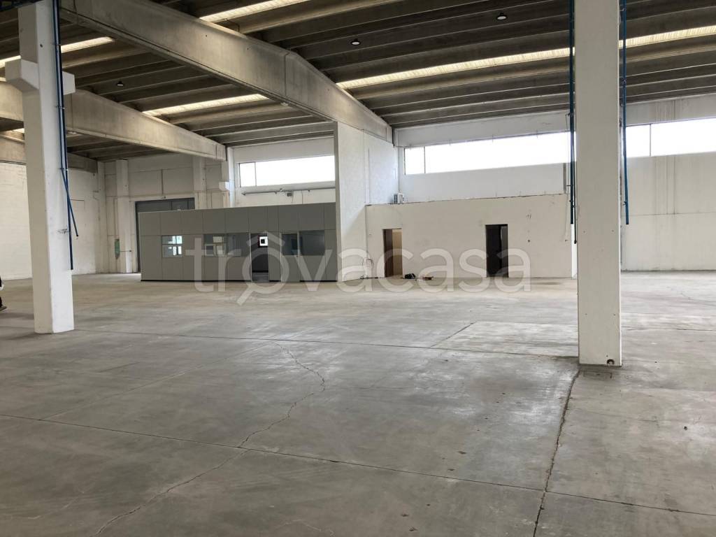 immagine annuncio 6 di 9