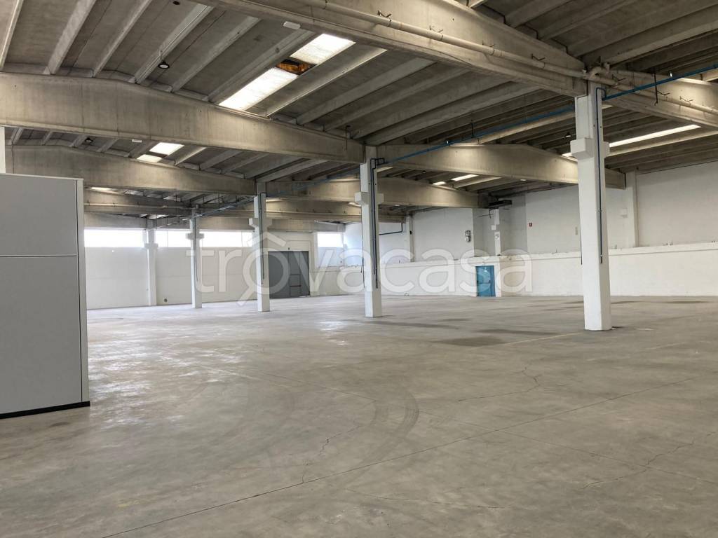 immagine annuncio 1 di 9