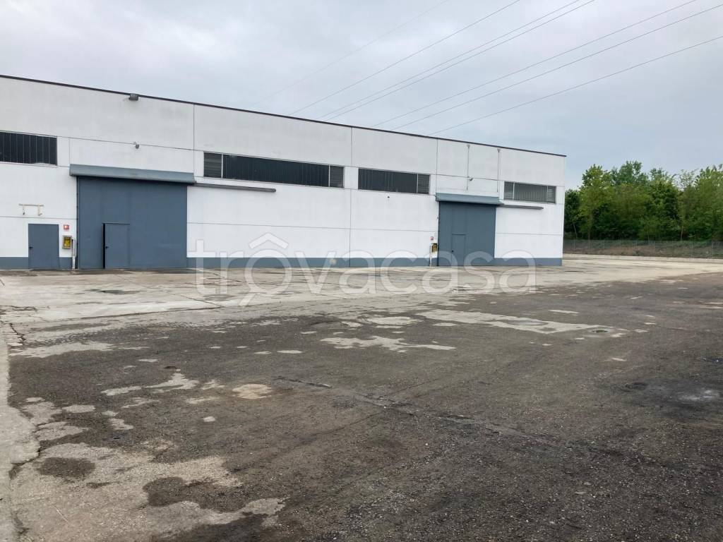 immagine annuncio 4 di 9