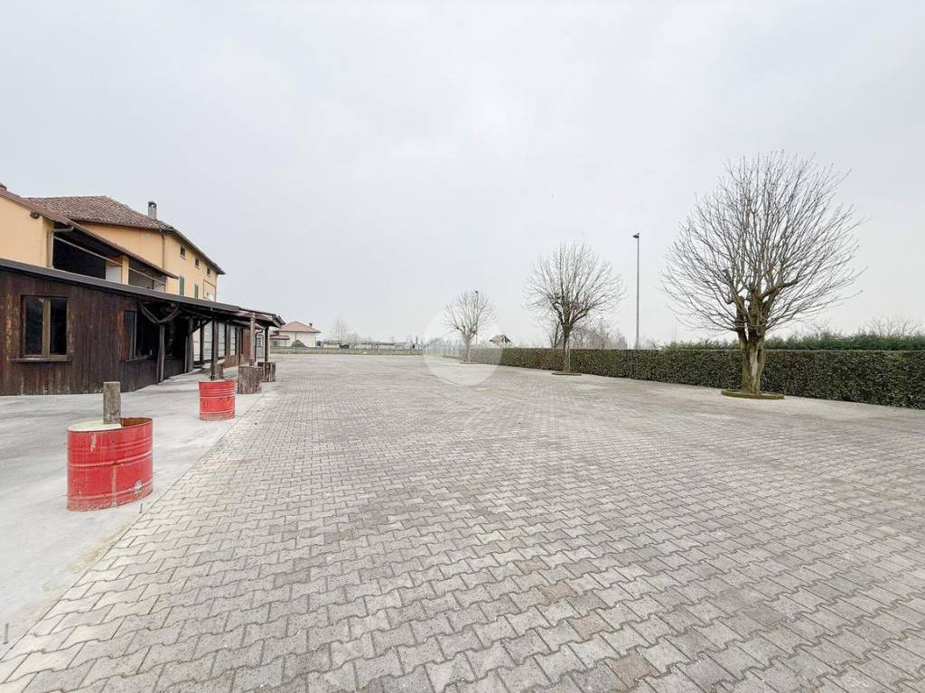 immagine annuncio 10 di 14