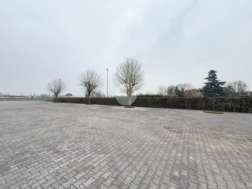 immagine annuncio 13 di 14