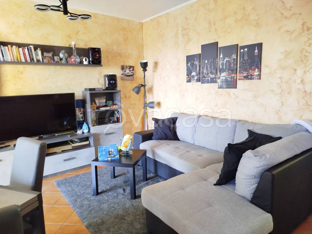 immagine annuncio 5 di 15