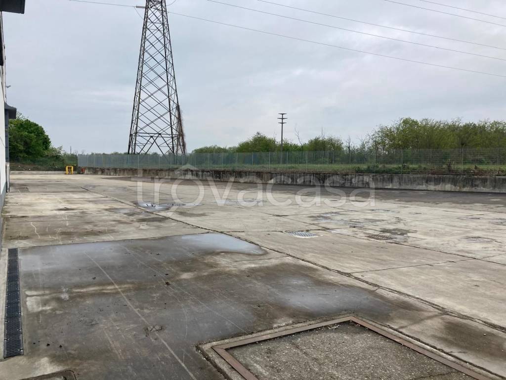 immagine annuncio 4 di 9