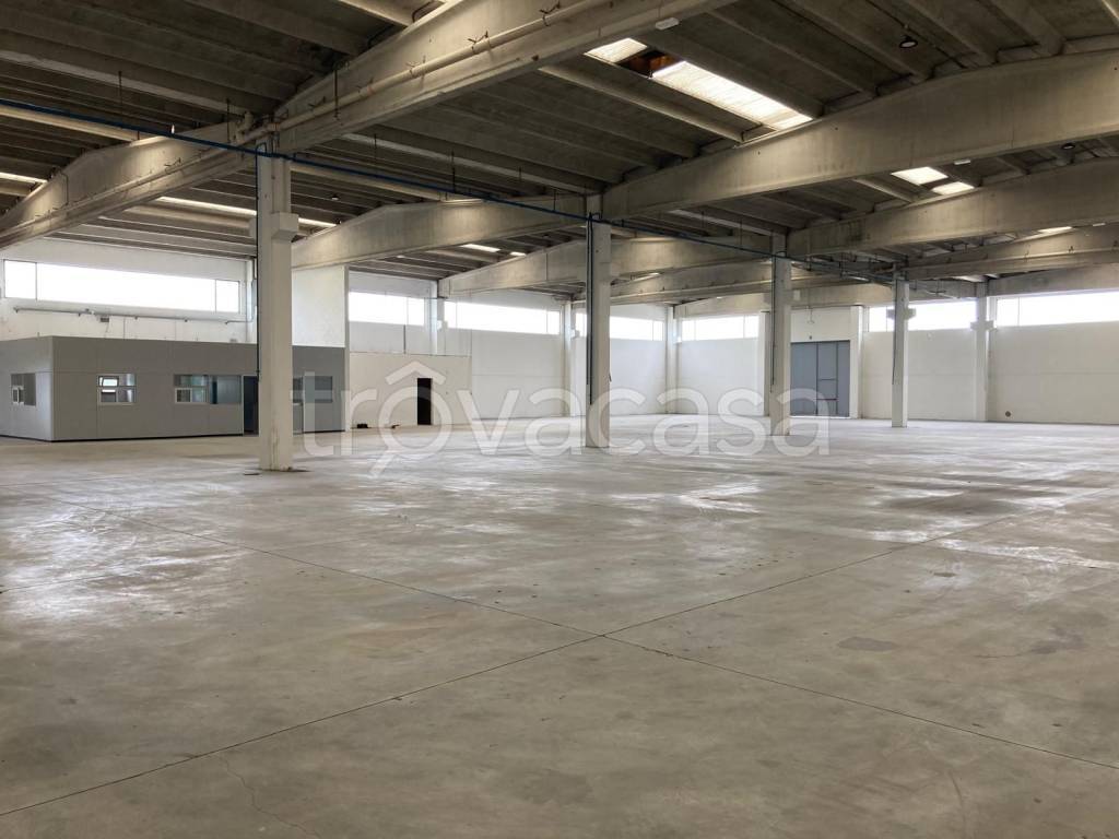 immagine annuncio 2 di 9