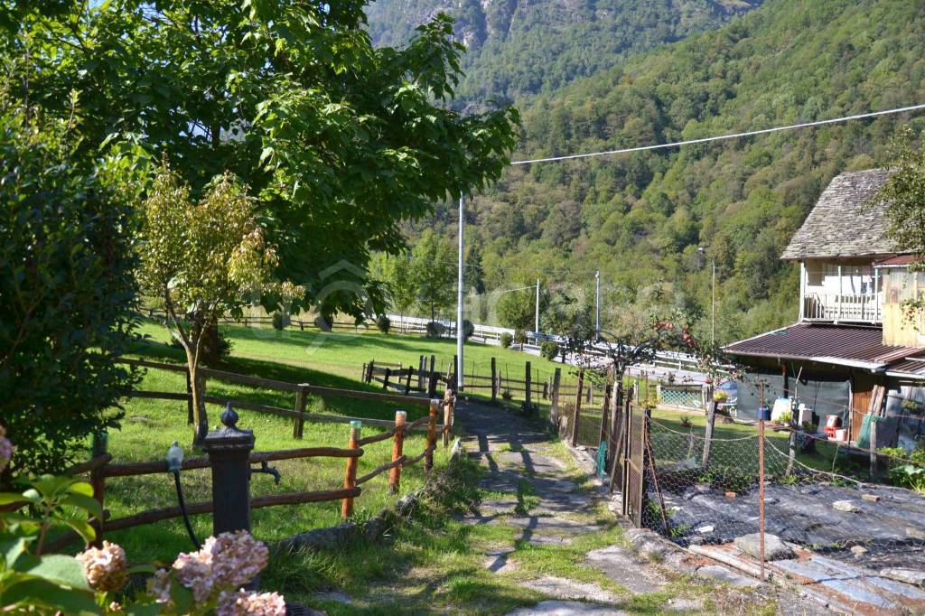 immagine annuncio 4 di 7