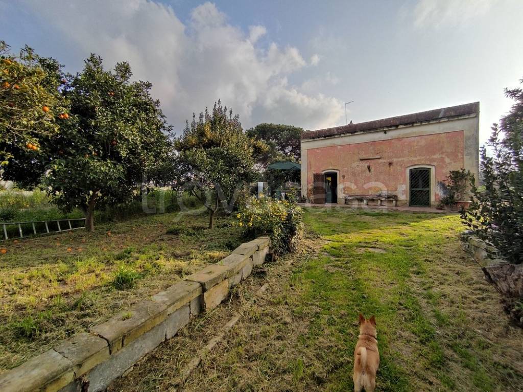 immagine annuncio 9 di 15