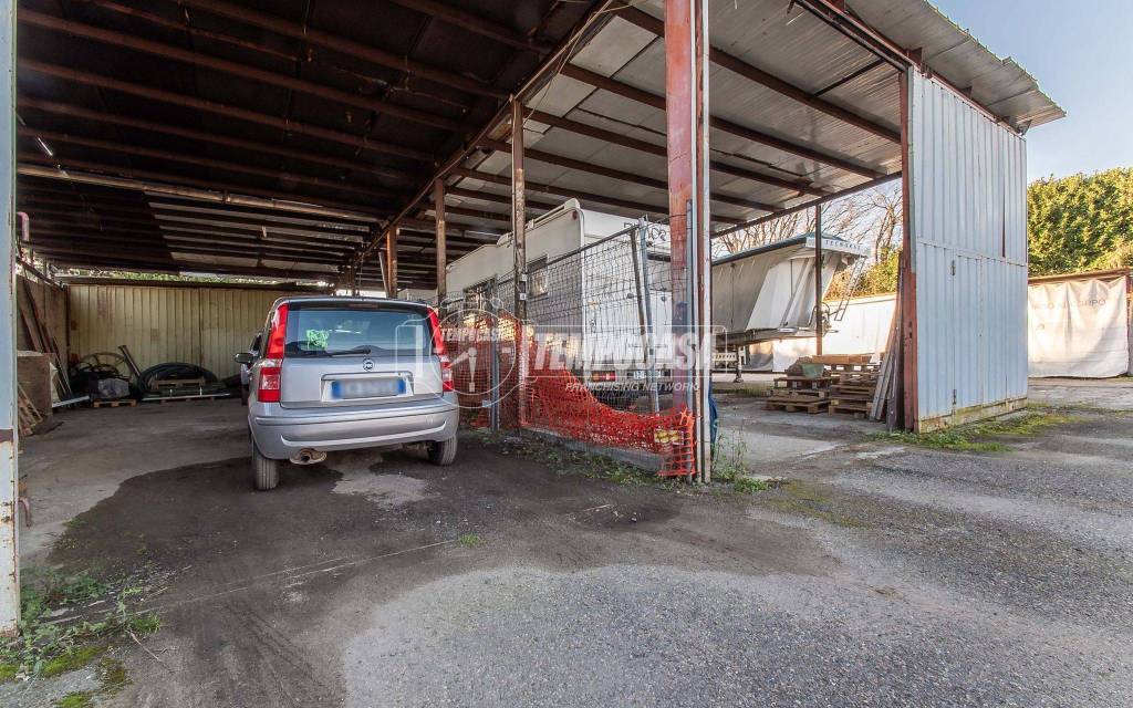 immagine annuncio 3 di 15