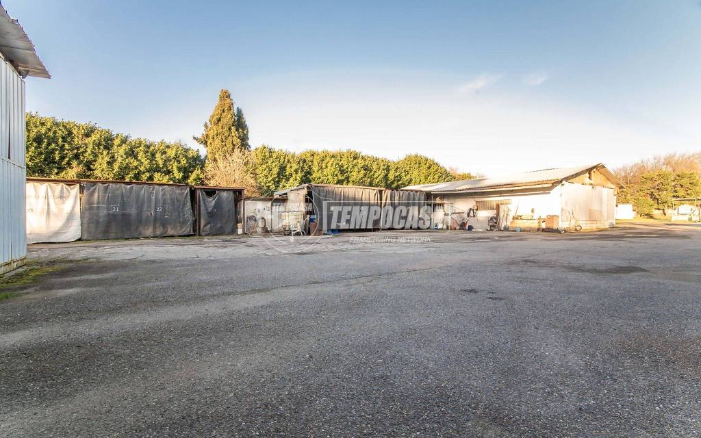 immagine annuncio 4 di 15