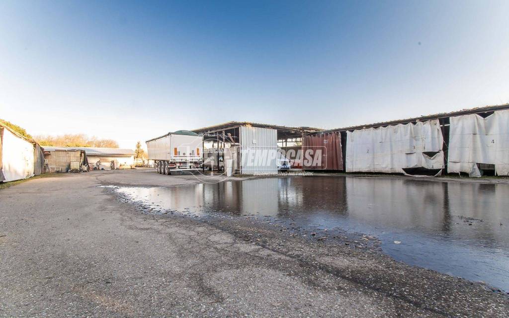 immagine annuncio 5 di 15