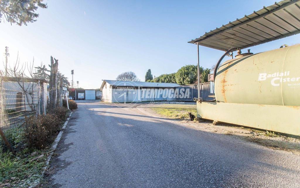 immagine annuncio 11 di 15