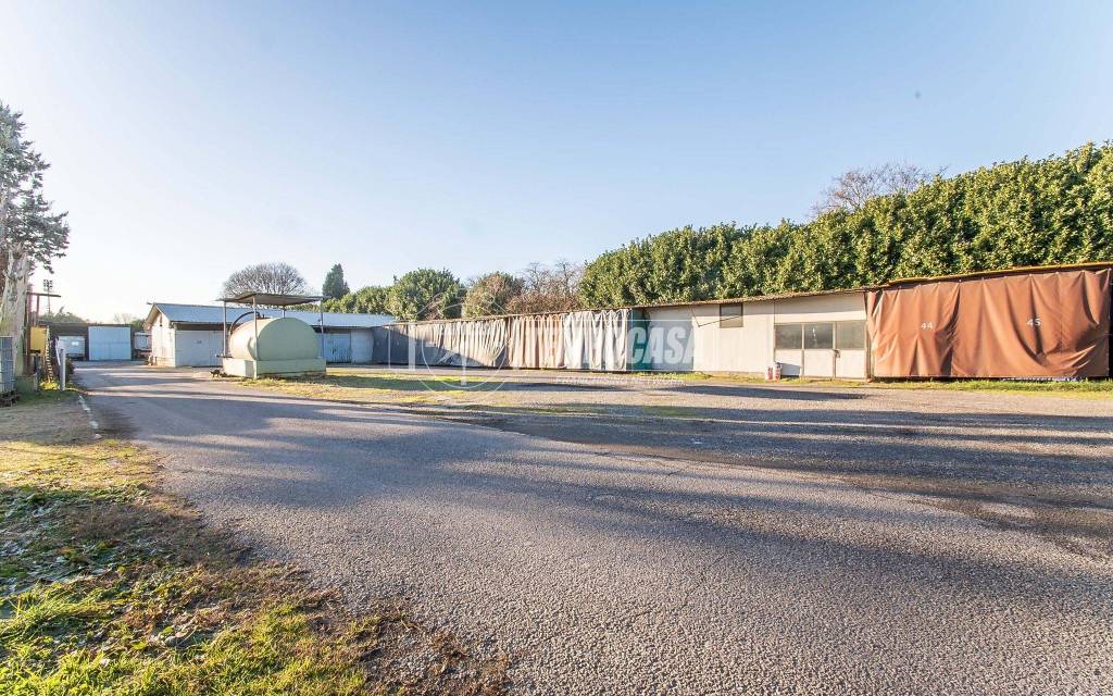 immagine annuncio 12 di 15