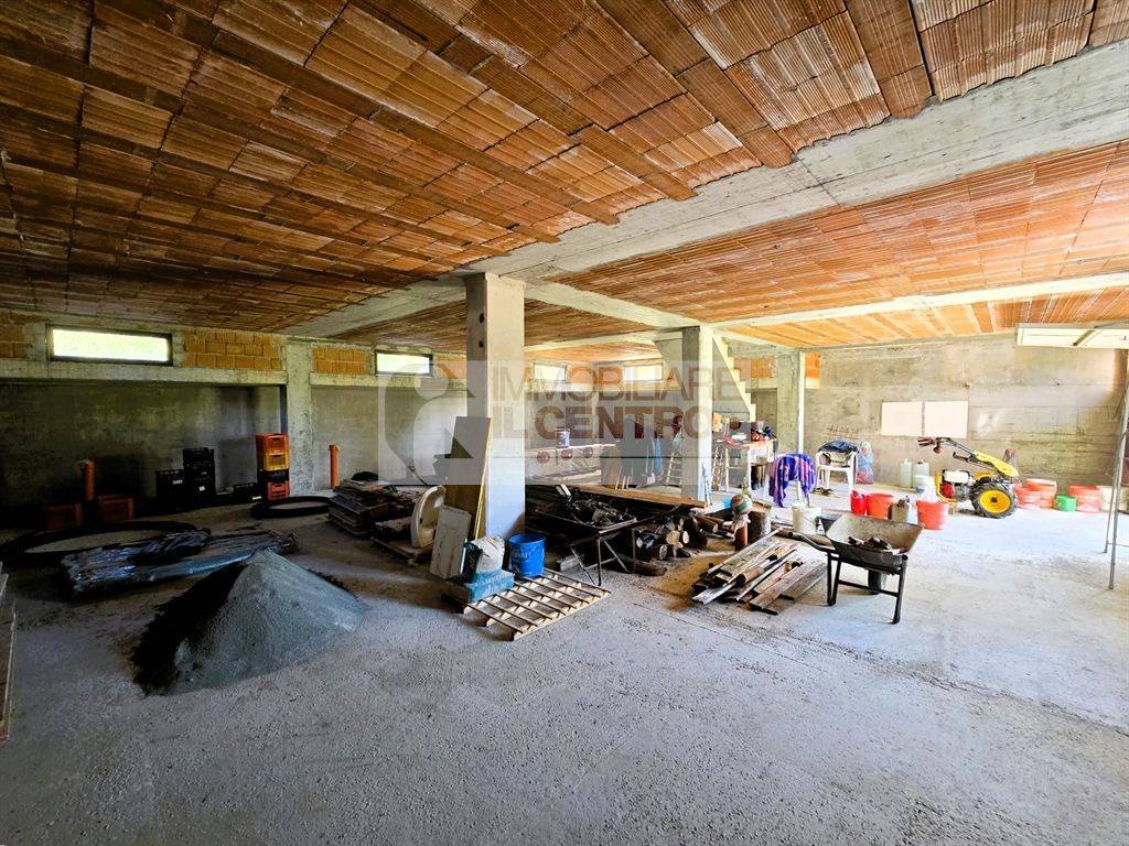 immagine annuncio 9 di 14