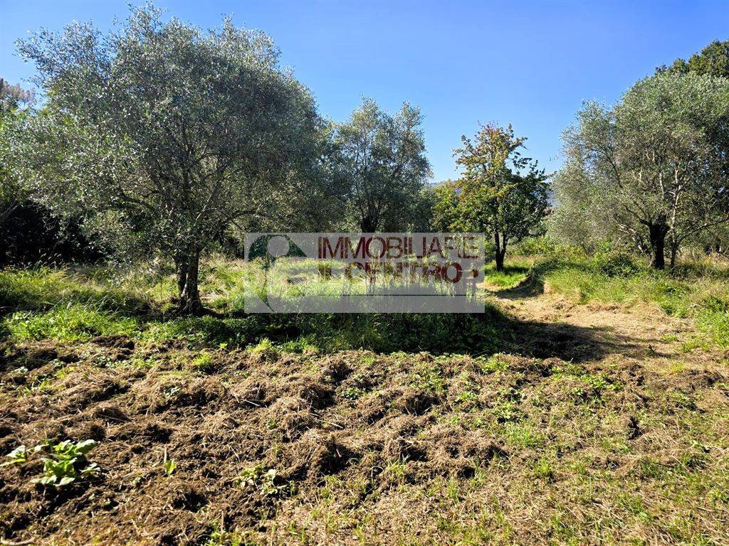 immagine annuncio 11 di 14